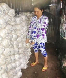 Chị Bùi Thị Kim Đồng với mô hình trồng nấm bào ngư.