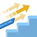 MOM 17 years of establishment and development