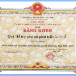 The certificate of merit from the chairman of Tien Giang people’s committee