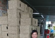 Mô hình đan lát và lục bình